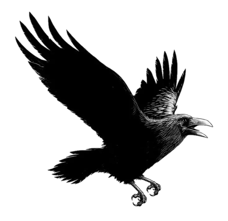 Crow PNG