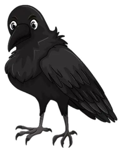 Crow Clipart png 