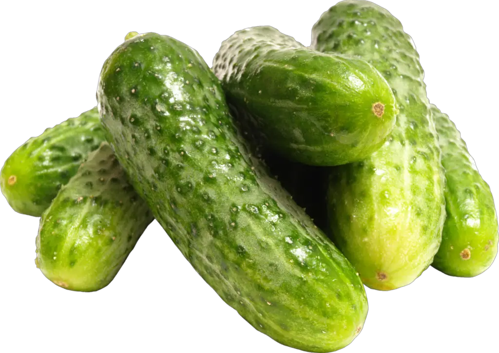 High Resolution Cucumber Png