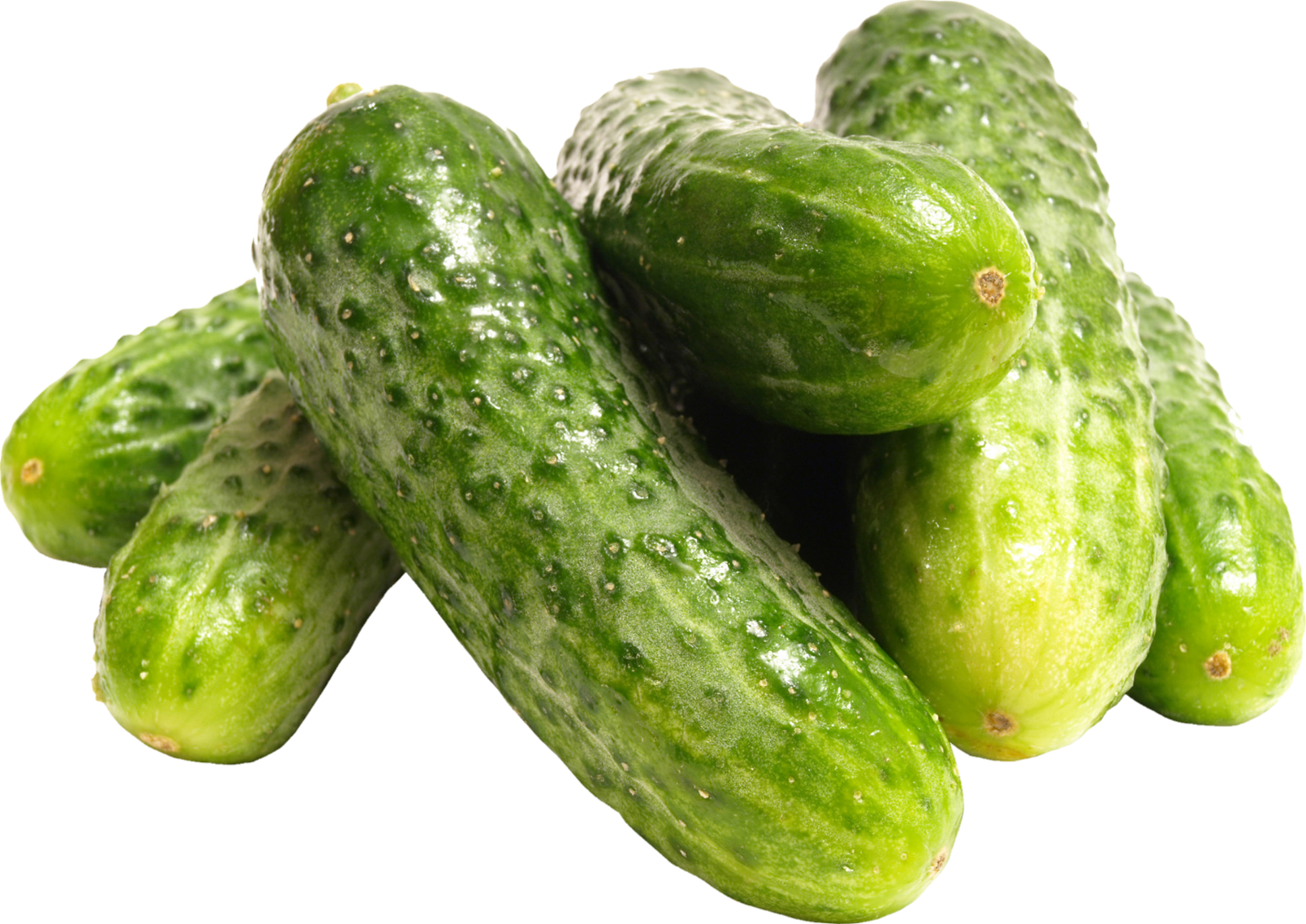 Cucumber-11