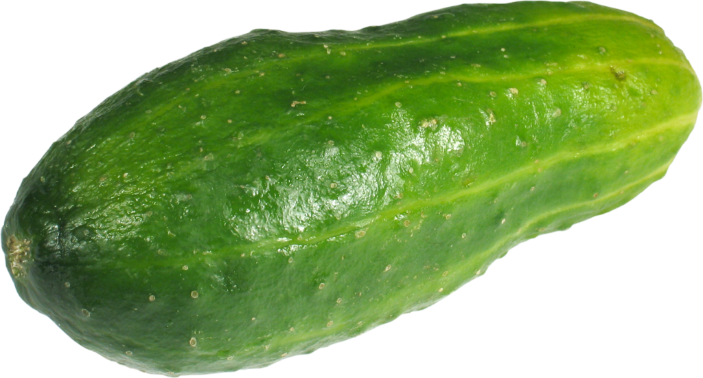 Fresh Cucumber Png