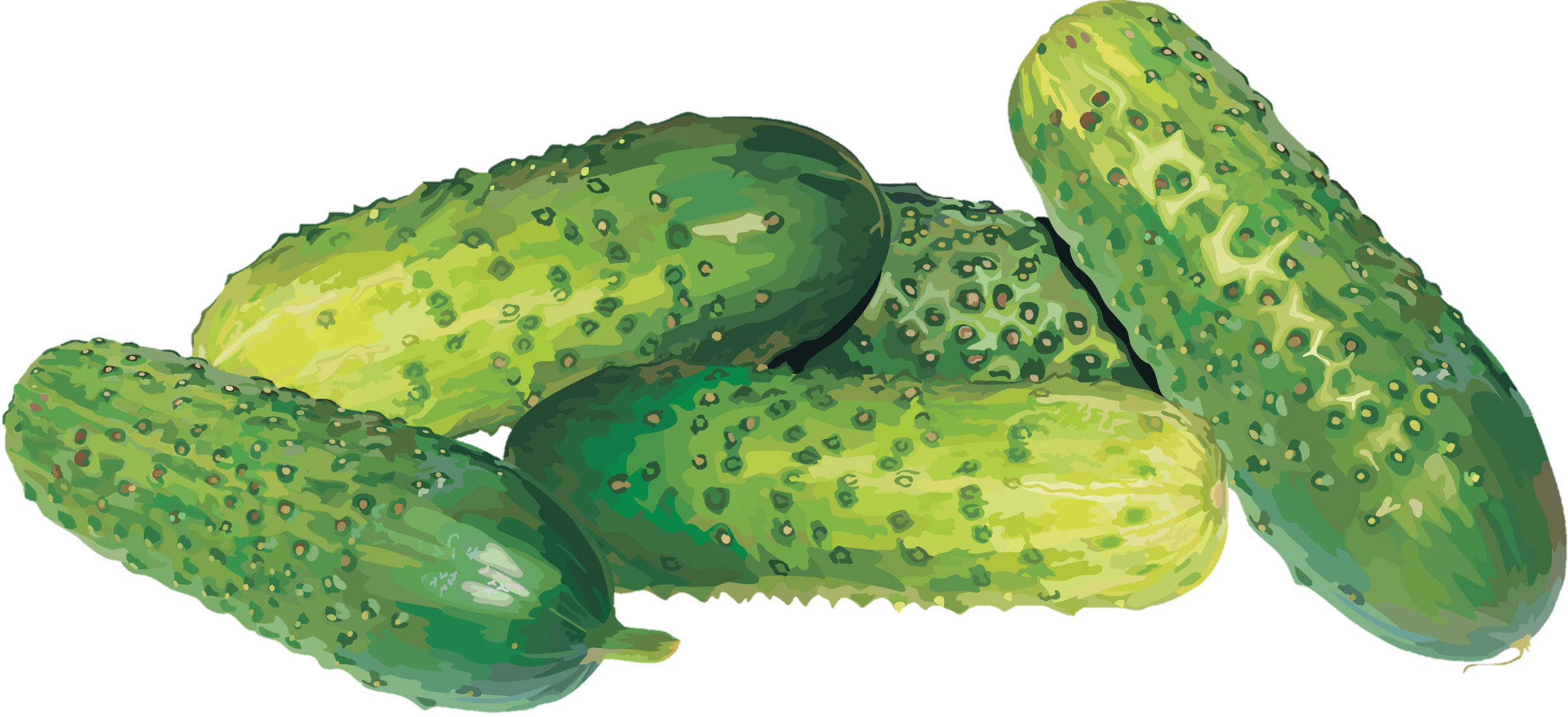 Cucumber-15-1