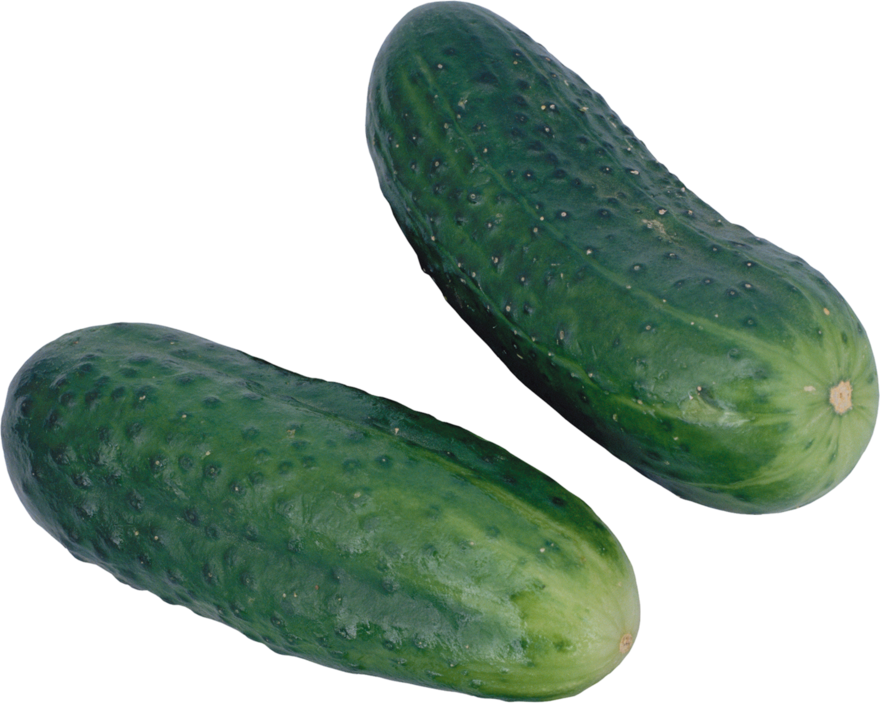 Cucumber-17