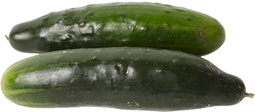 Lebanese Cucumber Png
