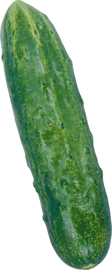 Desi Cucumber Png