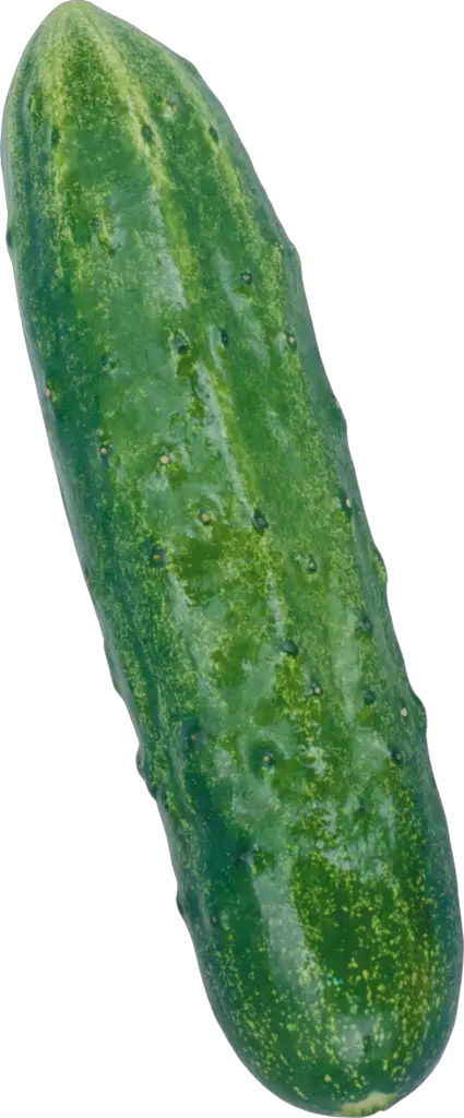 Desi Cucumber Png