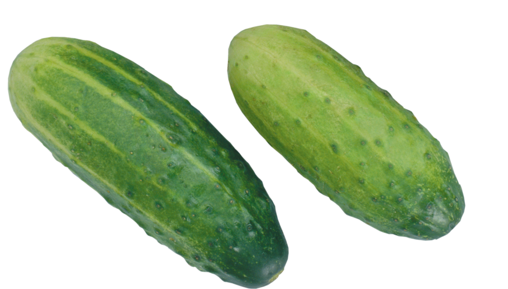 Desi Cucumber Png