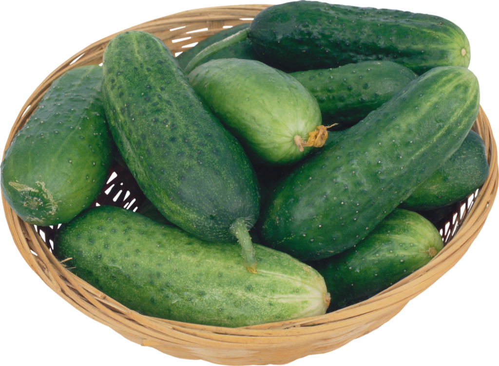 Cucumber Basket Png