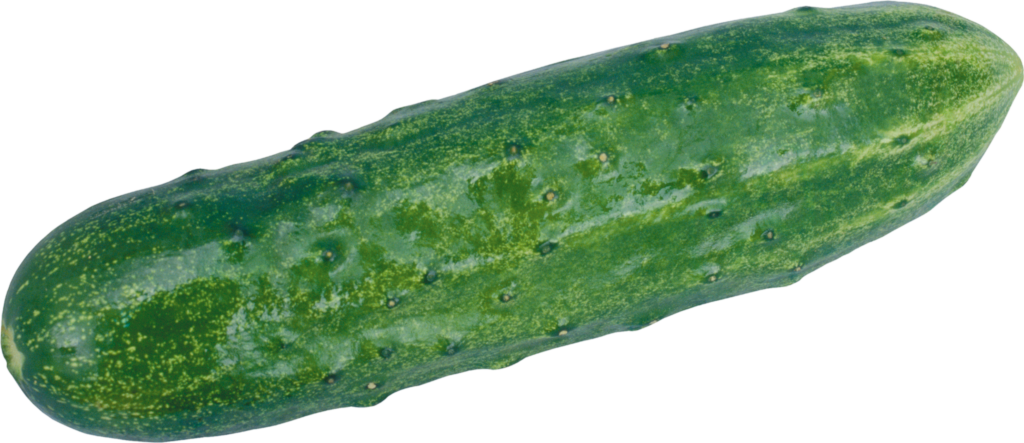 Green Cucumber Png