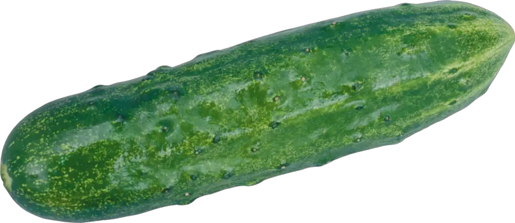 Green Cucumber Png