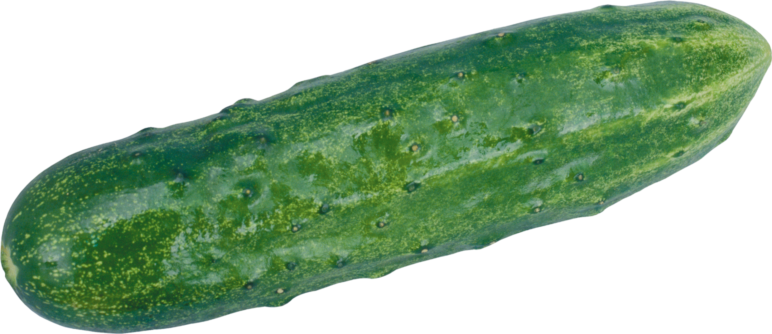 Cucumber-26