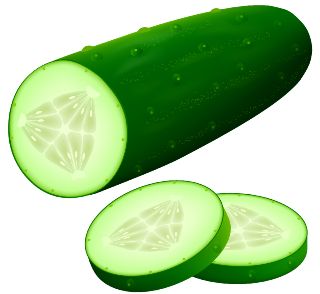 Cucumber Illustration Png
