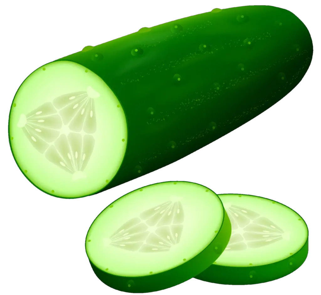 Image of Slices Of Cucumber Background-VA668774-Picxy