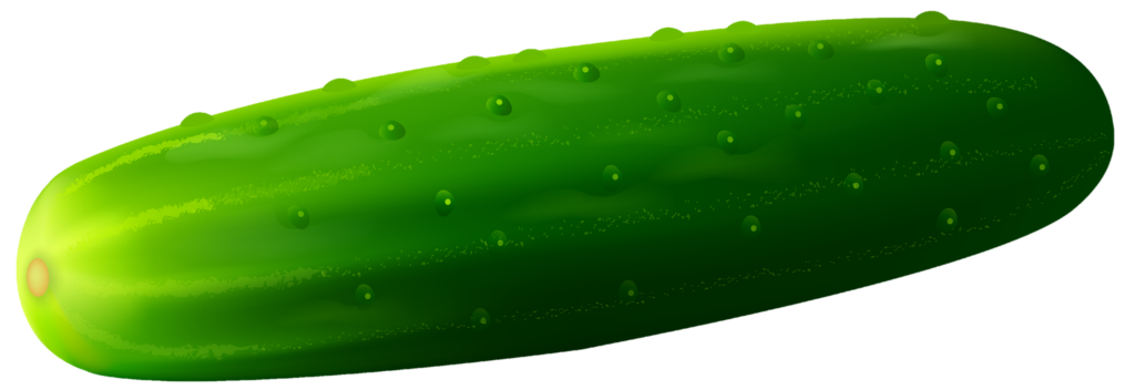 Cucumber Vector Png
