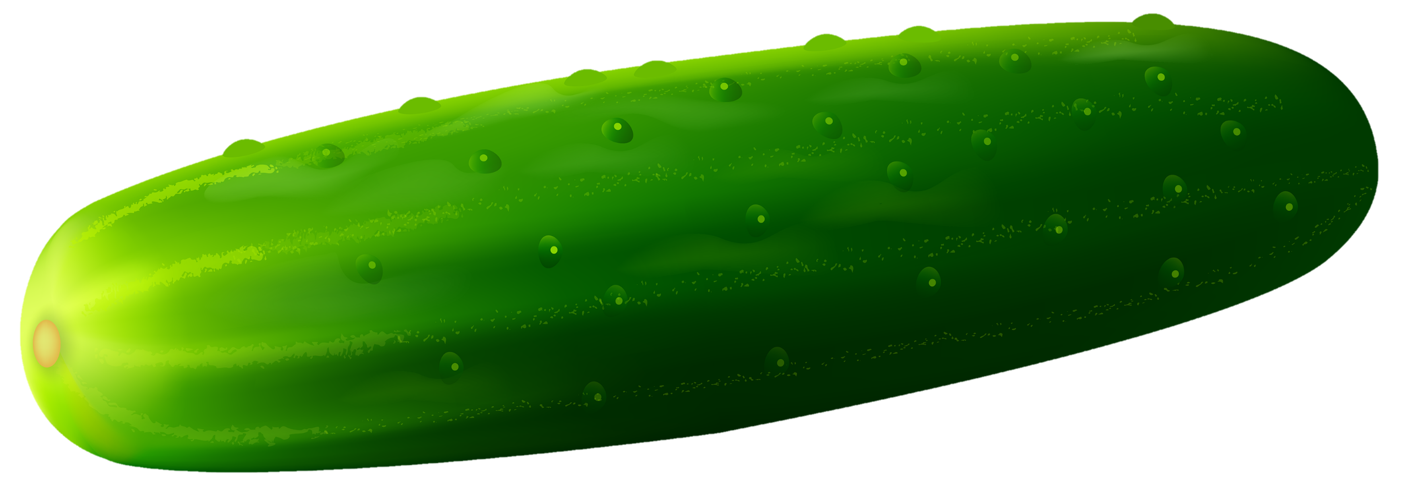 Cucumber-28