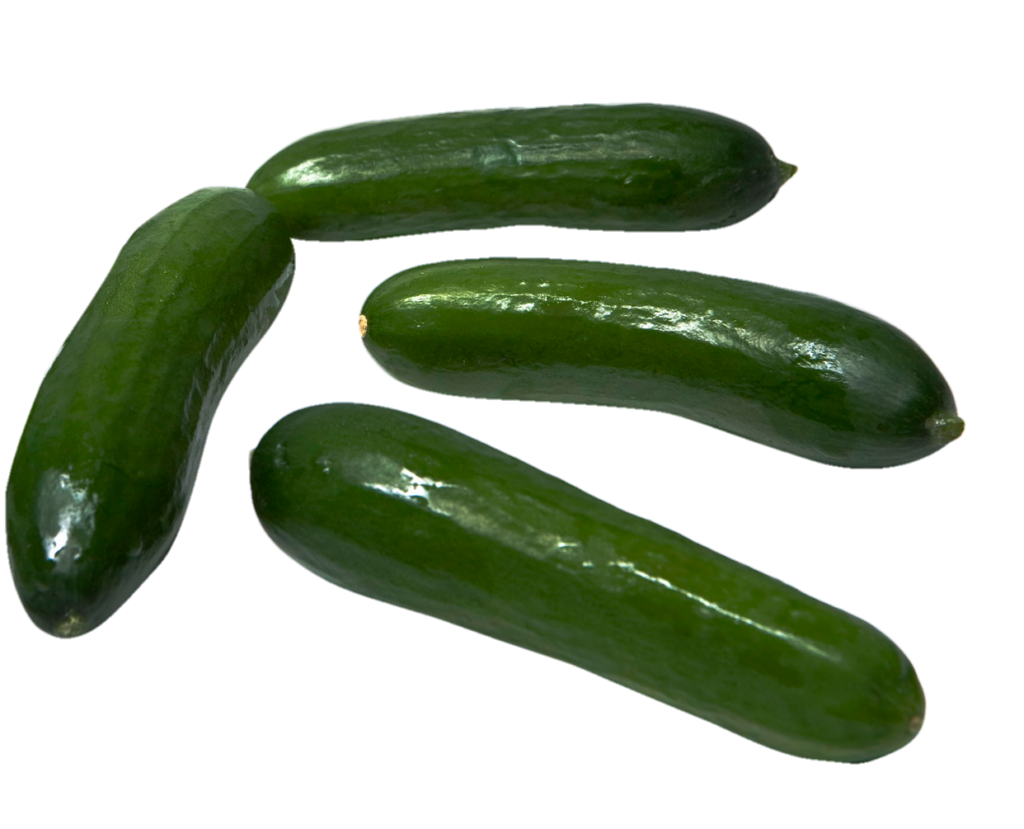Cucumber vegetable Png