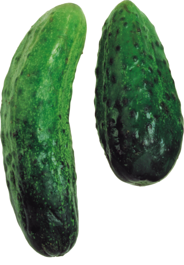 Transparent Cucumber Png
