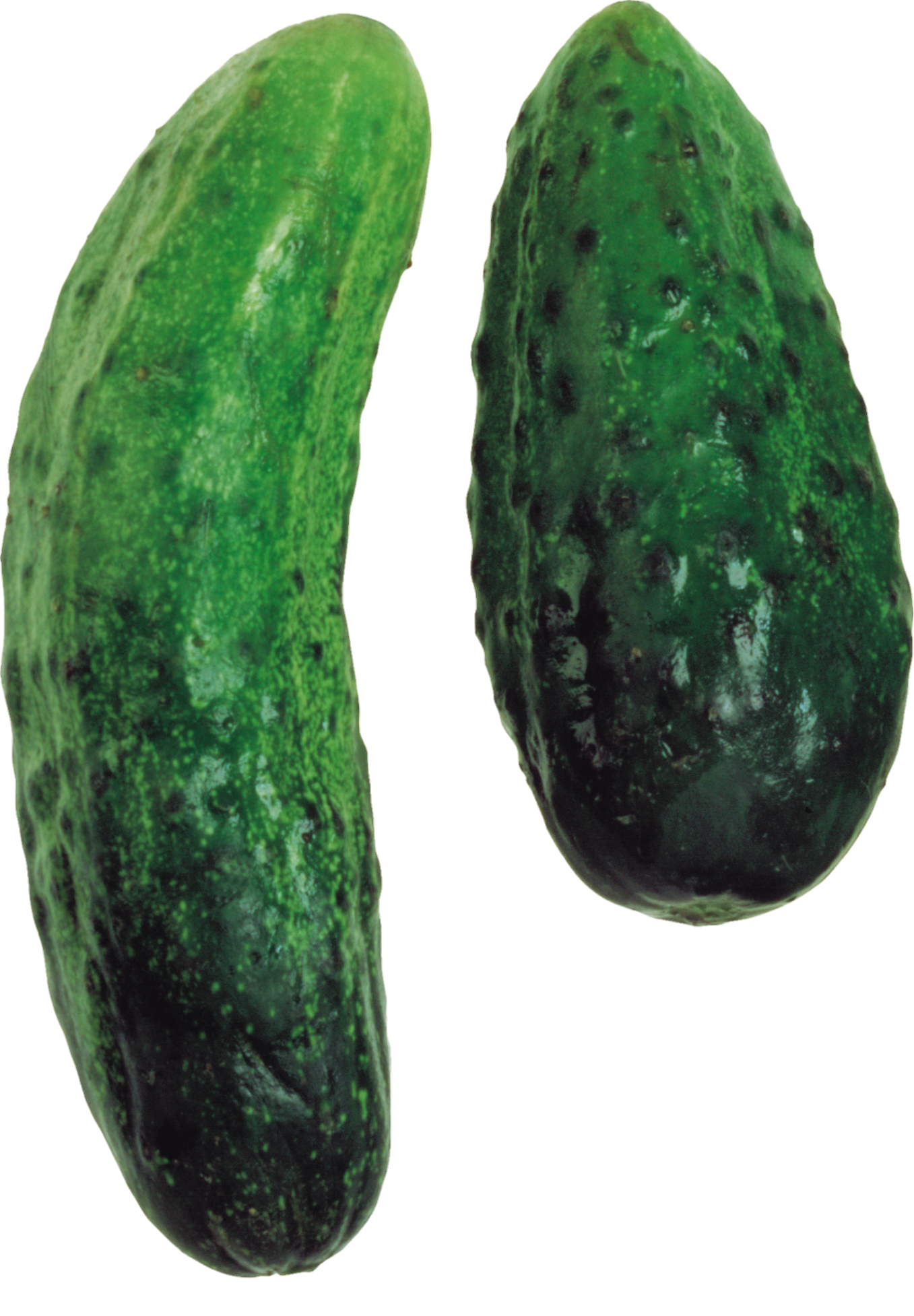 Cucumber-30-1