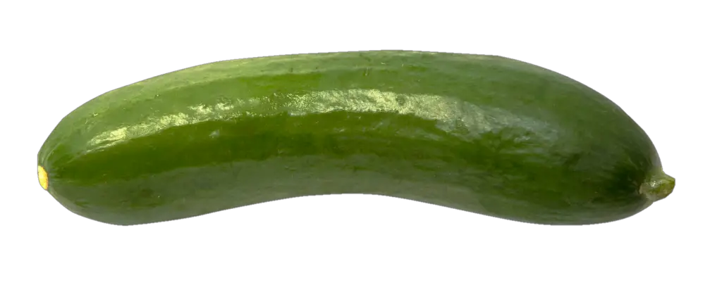 Single Cucumber Png