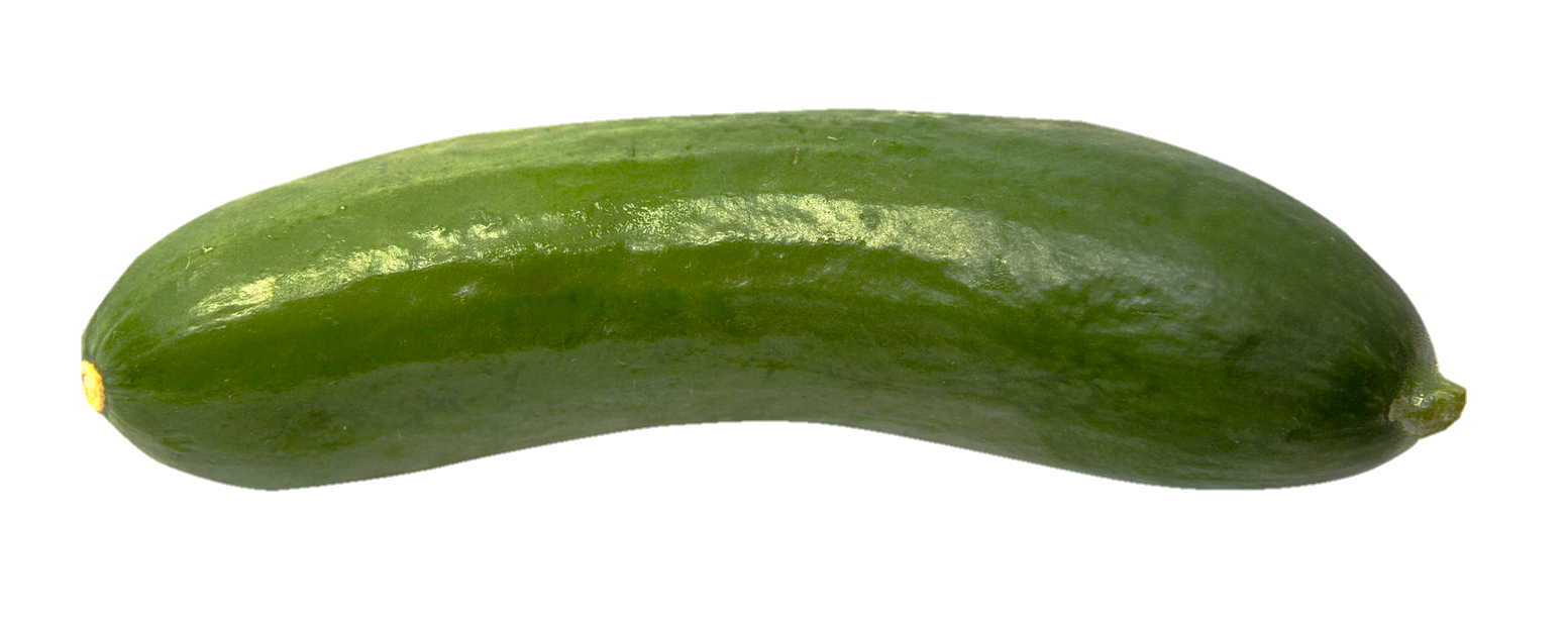 Cucumber-4