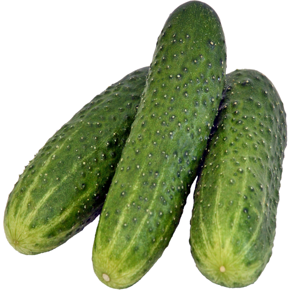 Transparent Cucumber Png