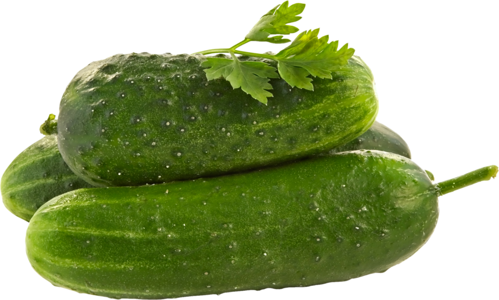 Cucumber vegetable Png