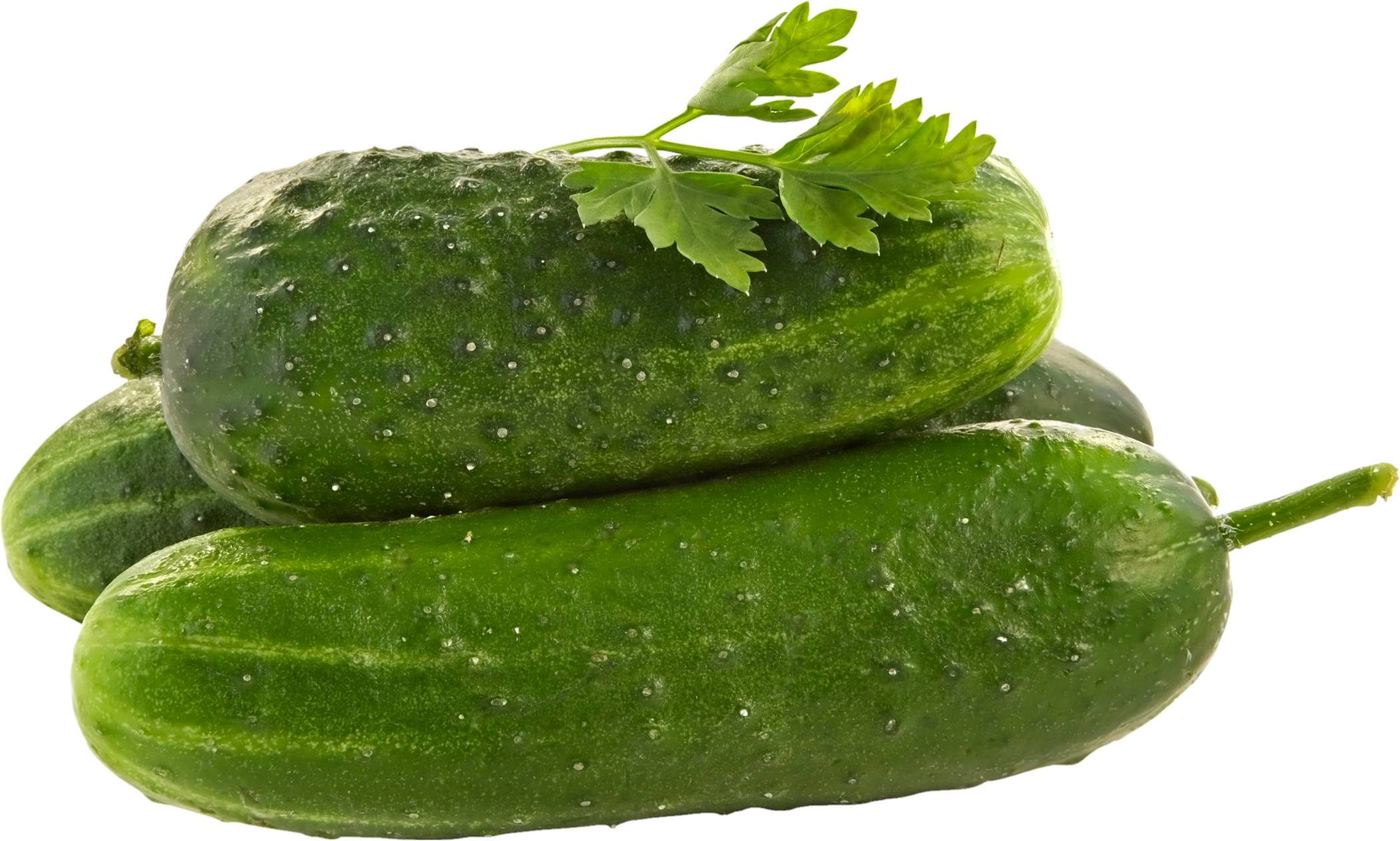 Cucumber-8