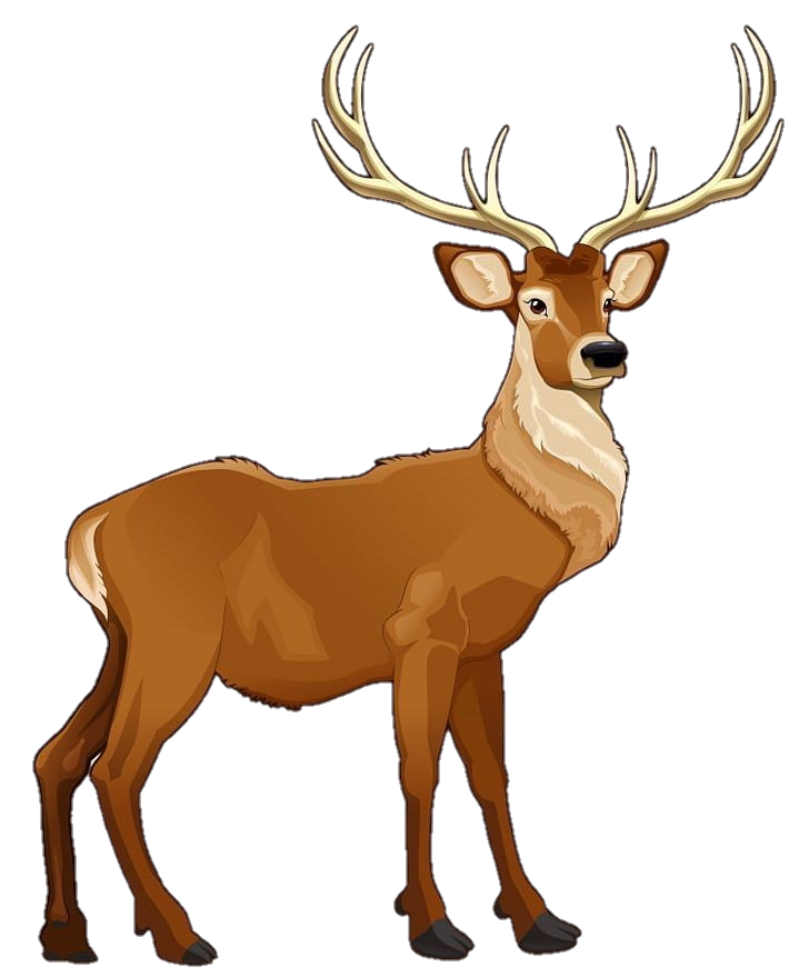 Deer Clipart Png