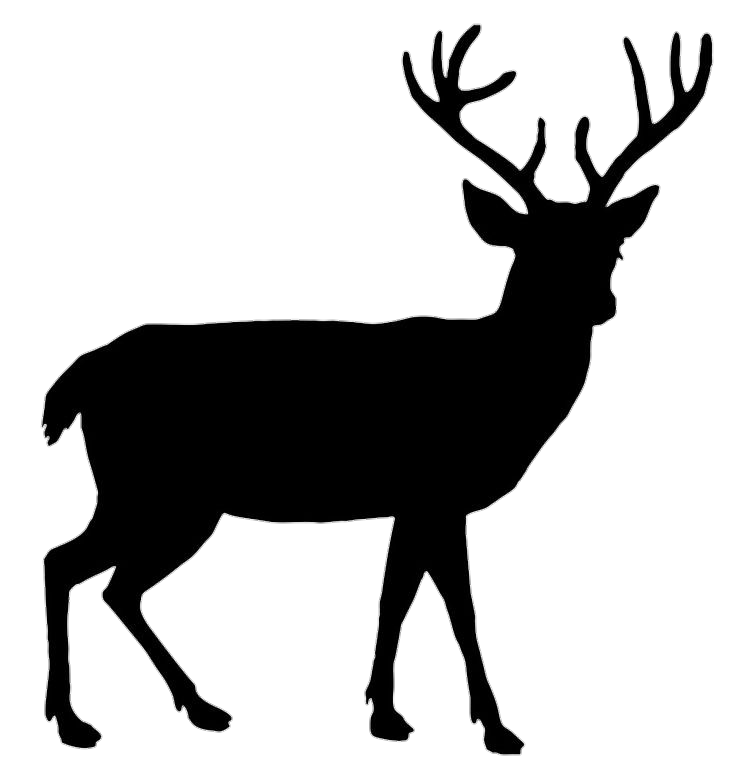 Deer-13
