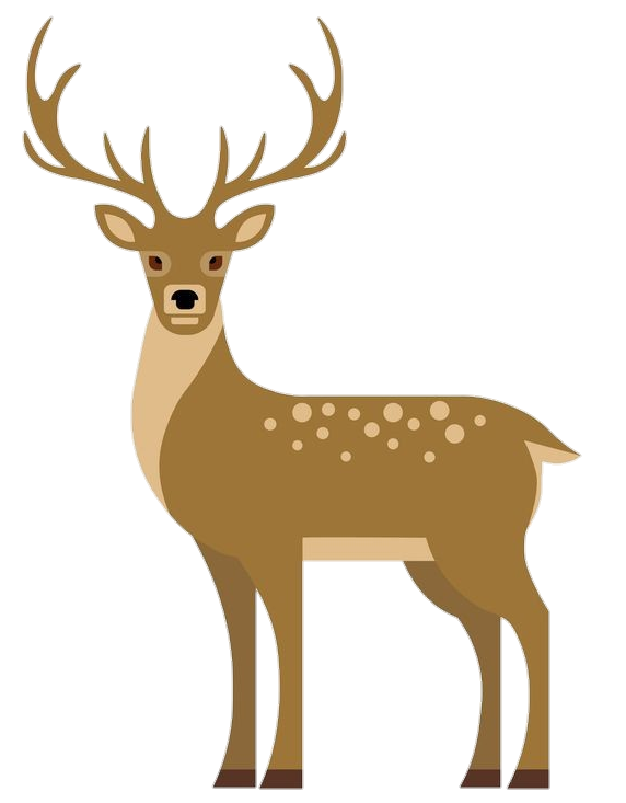 Deer Vector png 