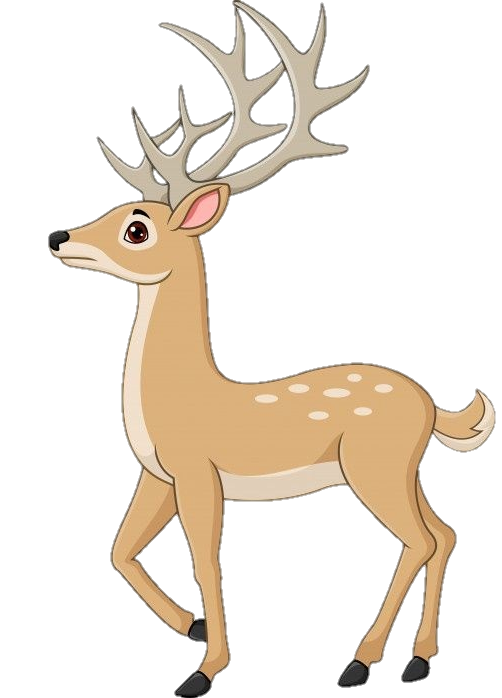 Deer-17