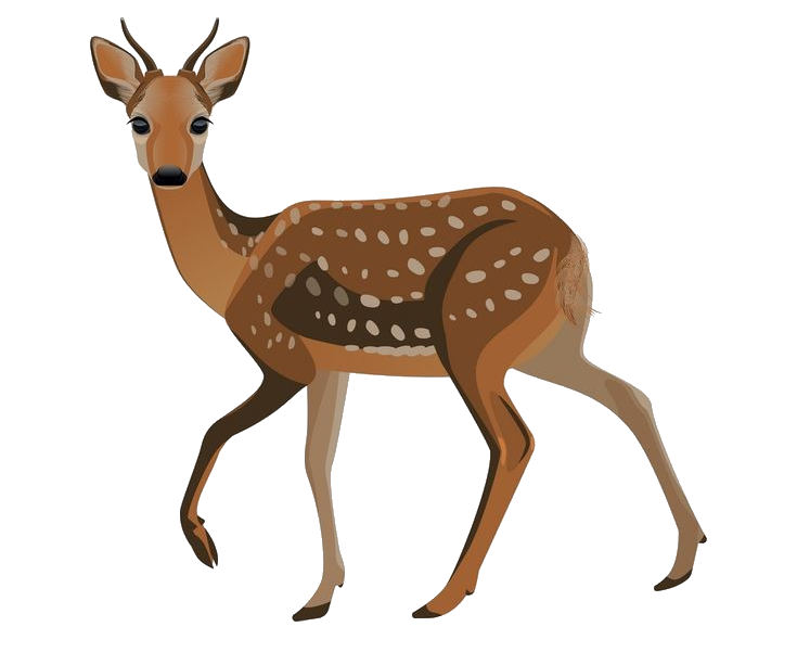 Deer-22