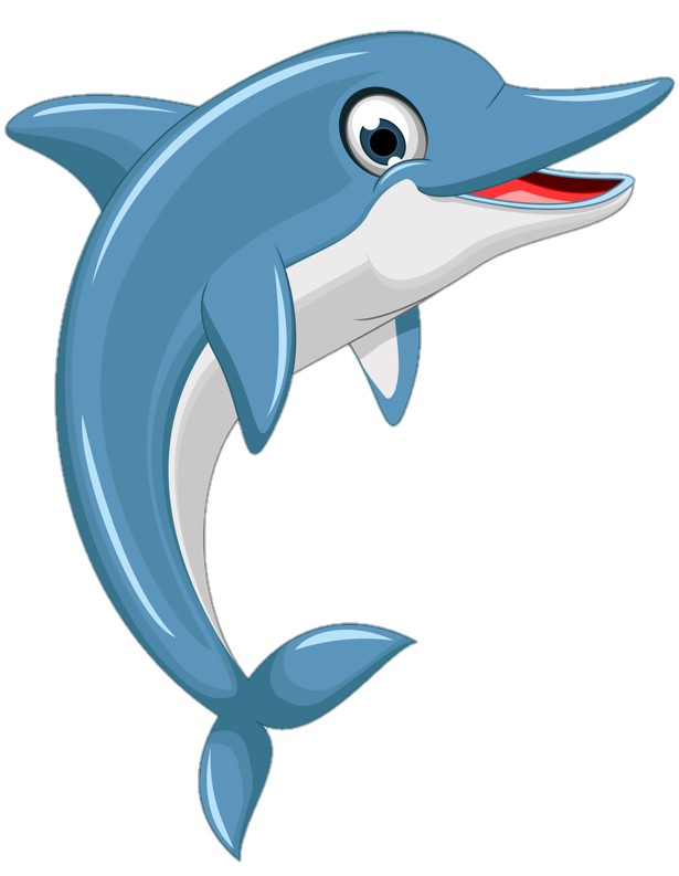Dolphin Clipart Png