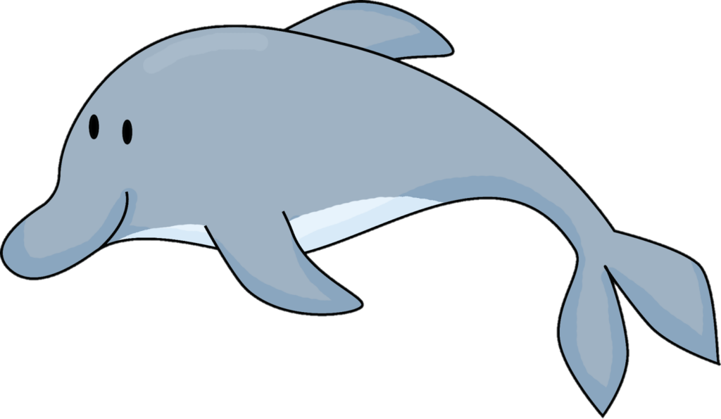 Cartoon Dolphin Png