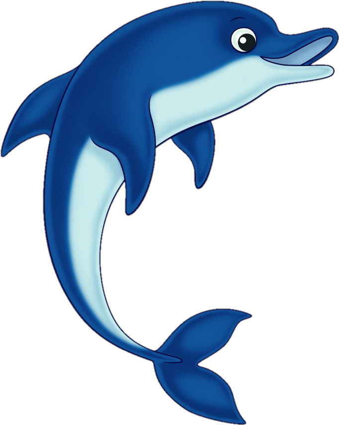 Dolphin Png Clipart
