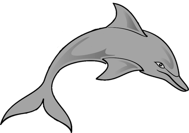 Dolphin Clipart Png
