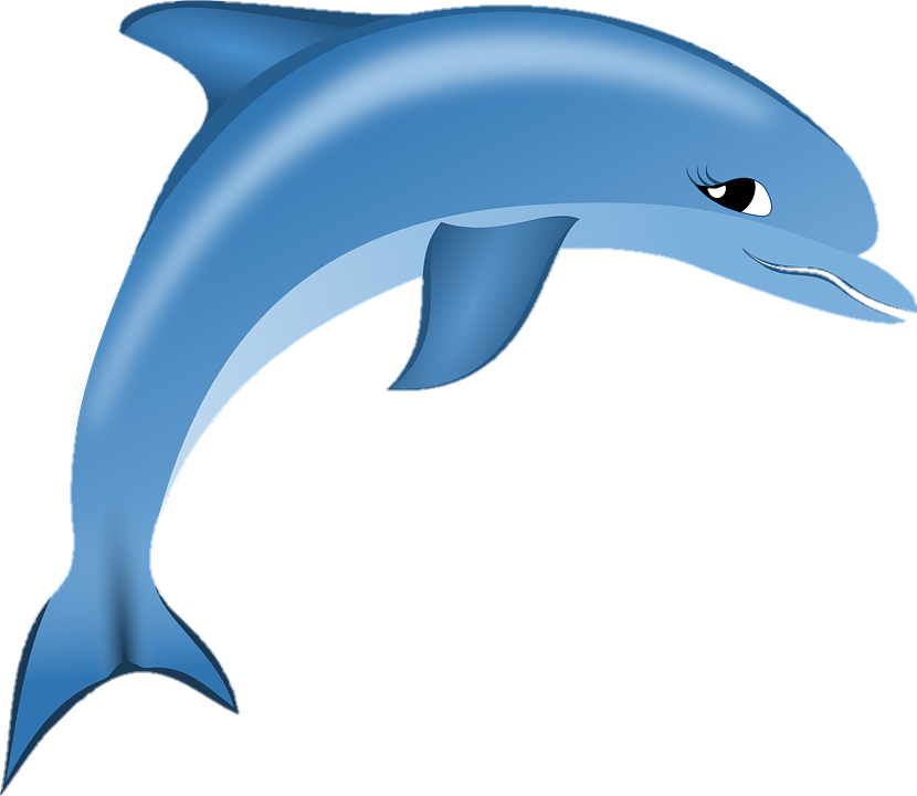 Animated Dolphin Png