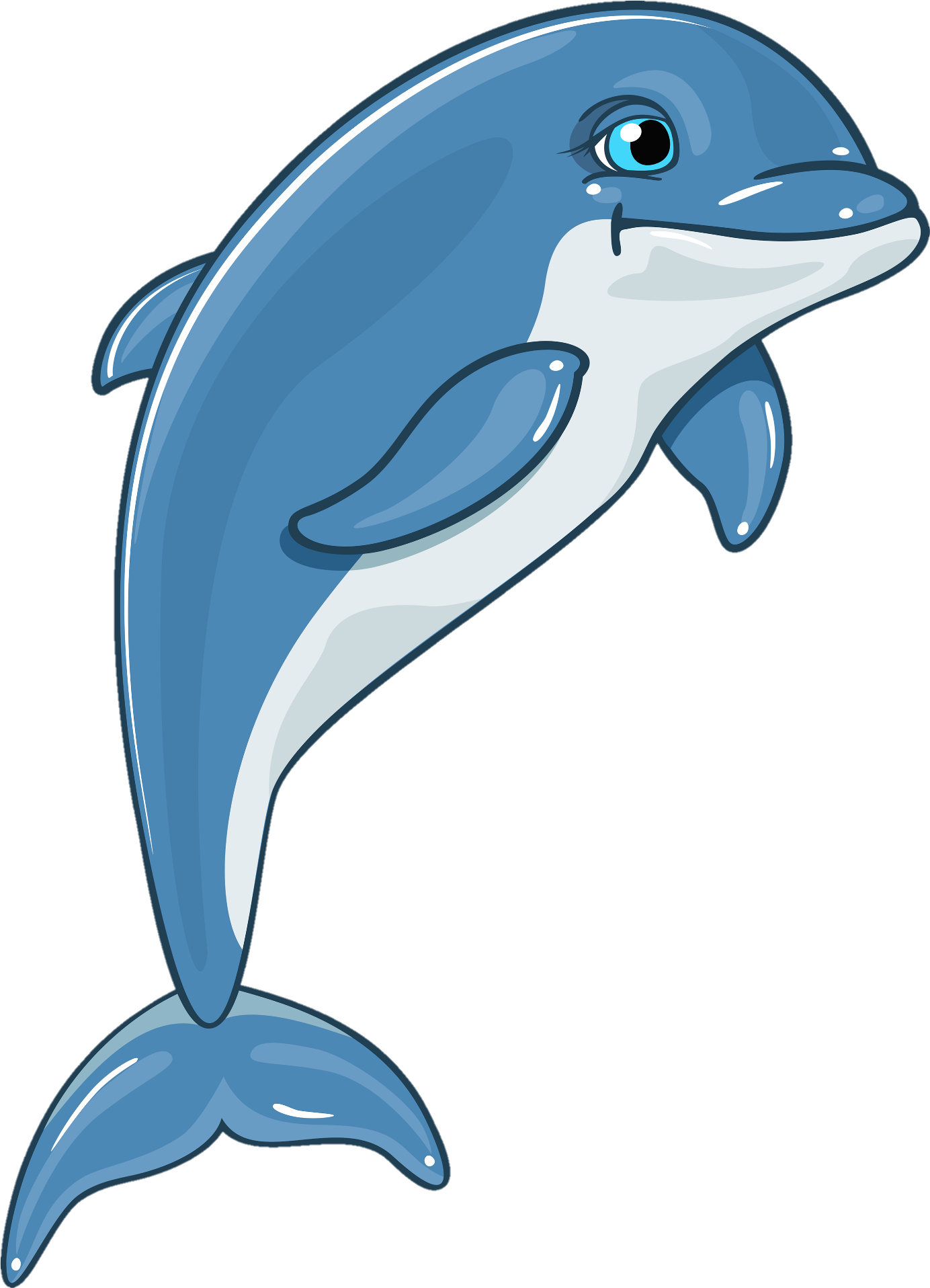 Dolphin-25