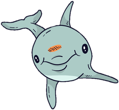 Dolphin Png vector
