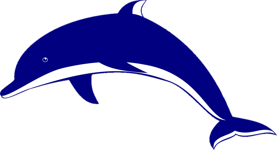 Silhouette Dolphin Png