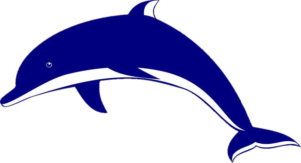 Silhouette Dolphin Png