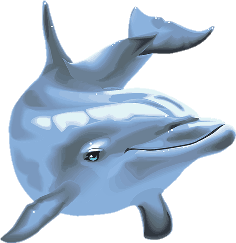 Dolphin Png Vector