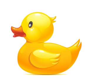 Yellow Duck Illustration Png