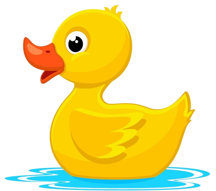 Duck clipart Png