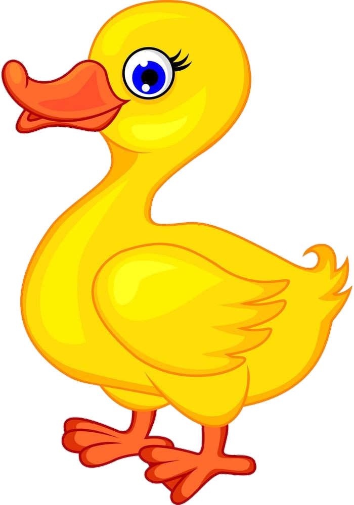 Yellow Duck clipart Png
