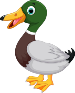 Mallard Duck clipart Png