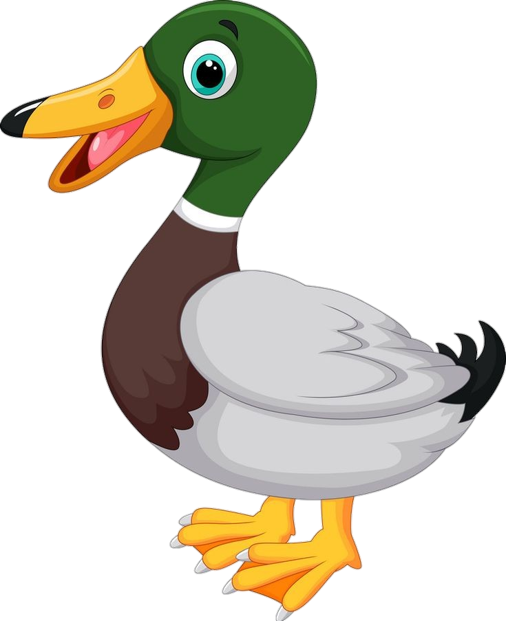 Ducky-28