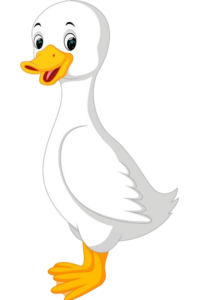 White Duck clipart Png