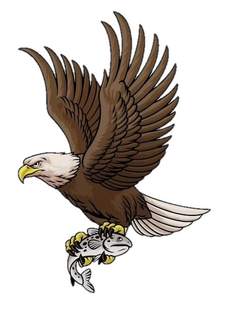 Eagle Clipart Png
