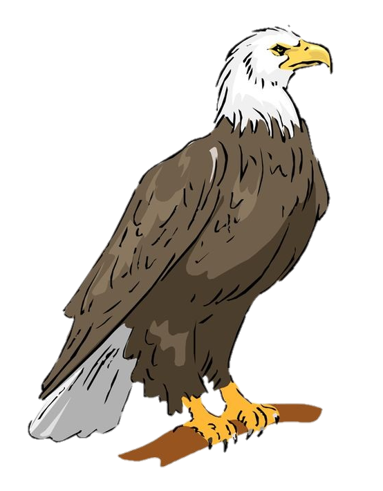 Eagle Clipart Png